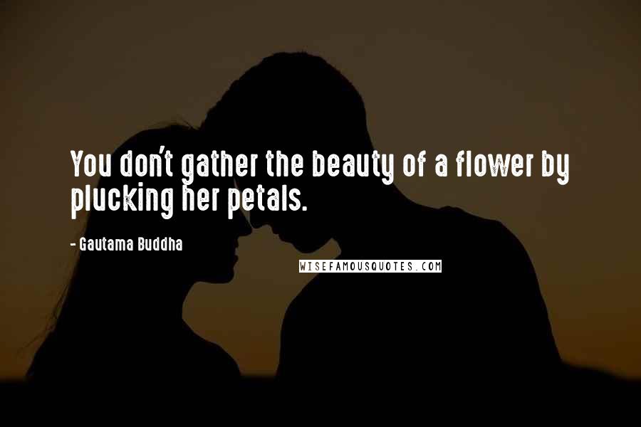 Gautama Buddha Quotes: You don't gather the beauty of a flower by plucking her petals.