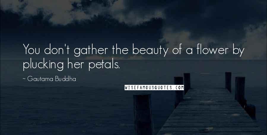 Gautama Buddha Quotes: You don't gather the beauty of a flower by plucking her petals.
