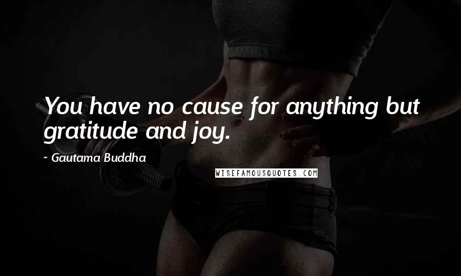 Gautama Buddha Quotes: You have no cause for anything but gratitude and joy.