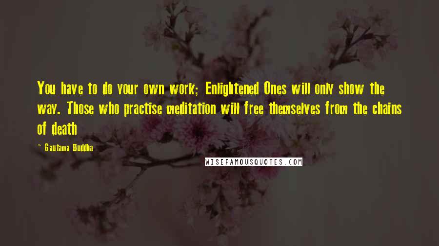 Gautama Buddha Quotes: You have to do your own work; Enlightened Ones will only show the way. Those who practise meditation will free themselves from the chains of death