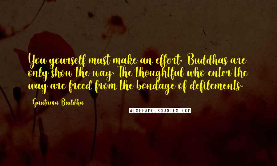 Gautama Buddha Quotes: You yourself must make an effort. Buddhas are only show the way. The thoughtful who enter the way are freed from the bondage of defilements.