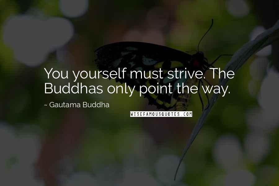 Gautama Buddha Quotes: You yourself must strive. The Buddhas only point the way.