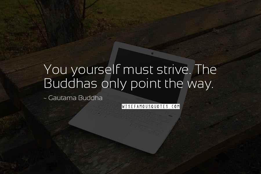 Gautama Buddha Quotes: You yourself must strive. The Buddhas only point the way.