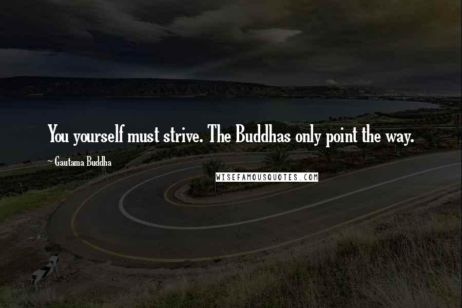 Gautama Buddha Quotes: You yourself must strive. The Buddhas only point the way.