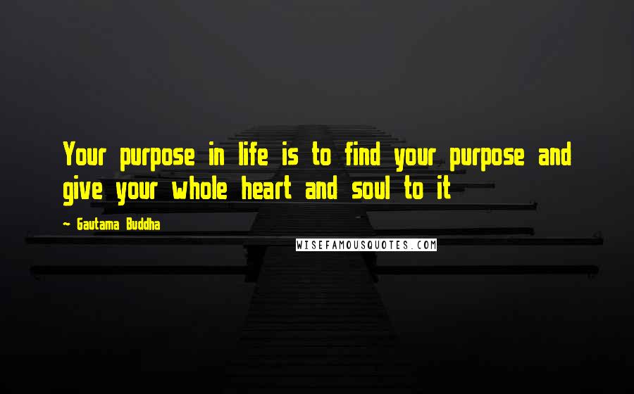 Gautama Buddha Quotes: Your purpose in life is to find your purpose and give your whole heart and soul to it