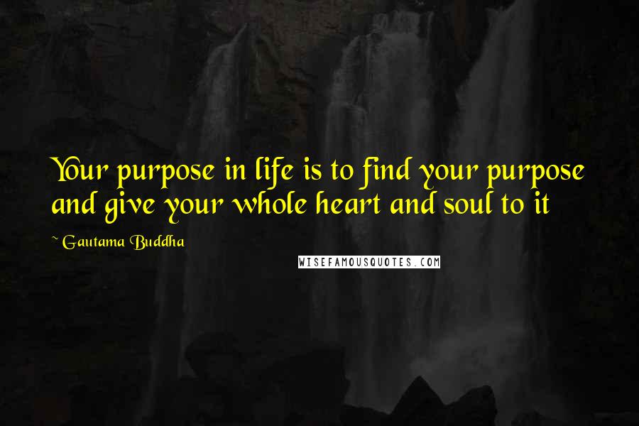 Gautama Buddha Quotes: Your purpose in life is to find your purpose and give your whole heart and soul to it