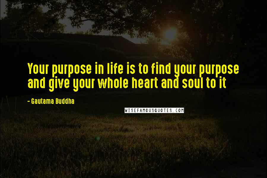 Gautama Buddha Quotes: Your purpose in life is to find your purpose and give your whole heart and soul to it