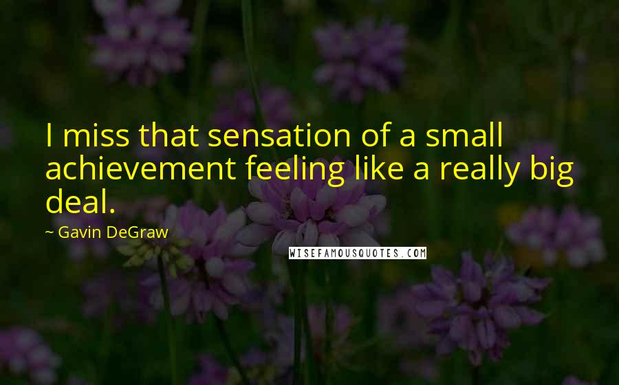 Gavin DeGraw Quotes: I miss that sensation of a small achievement feeling like a really big deal.