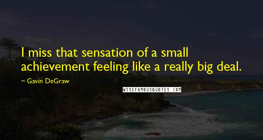 Gavin DeGraw Quotes: I miss that sensation of a small achievement feeling like a really big deal.