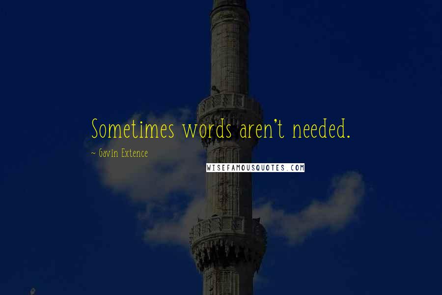 Gavin Extence Quotes: Sometimes words aren't needed.