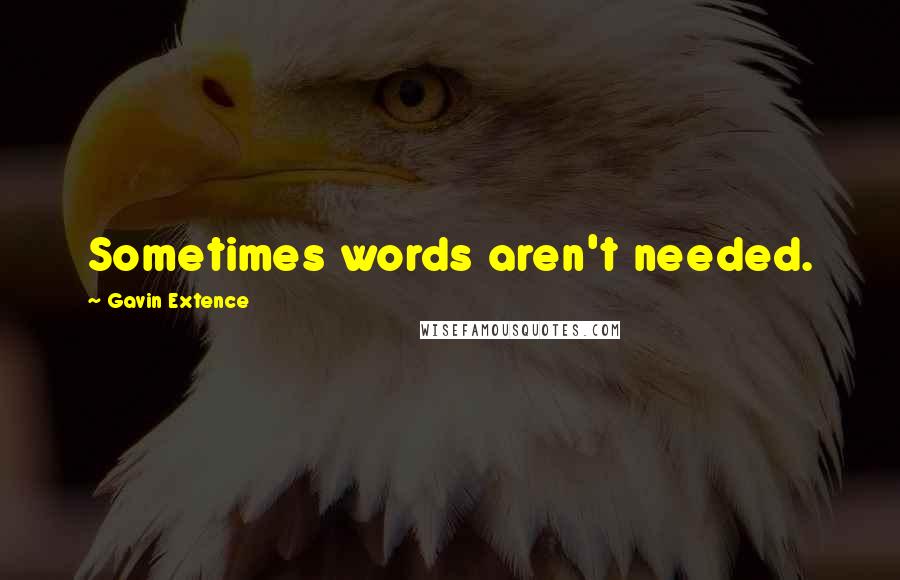 Gavin Extence Quotes: Sometimes words aren't needed.