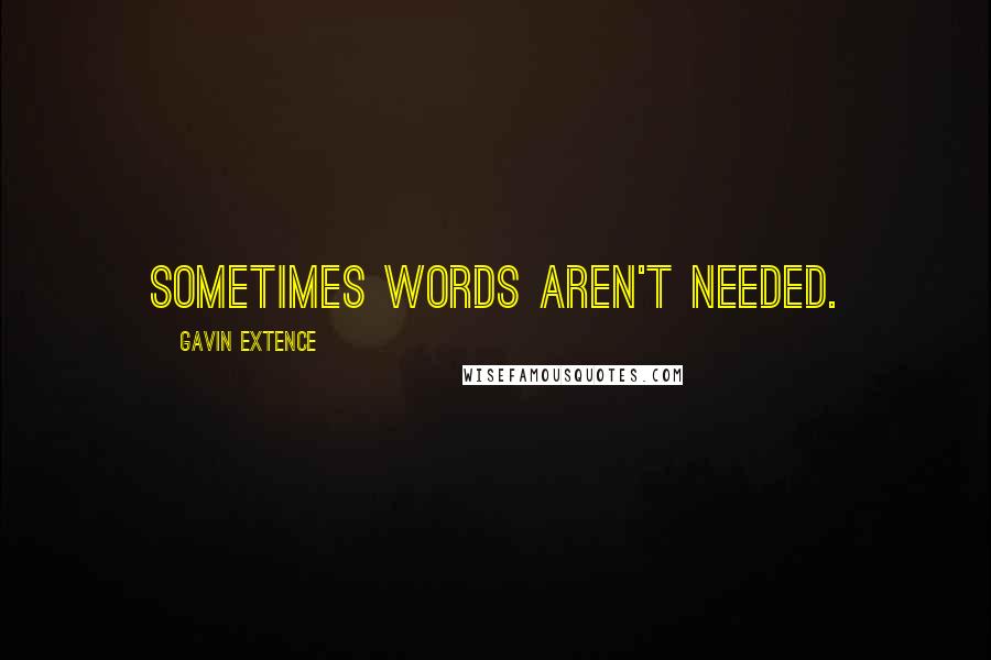 Gavin Extence Quotes: Sometimes words aren't needed.