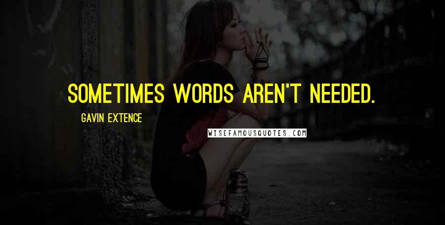 Gavin Extence Quotes: Sometimes words aren't needed.