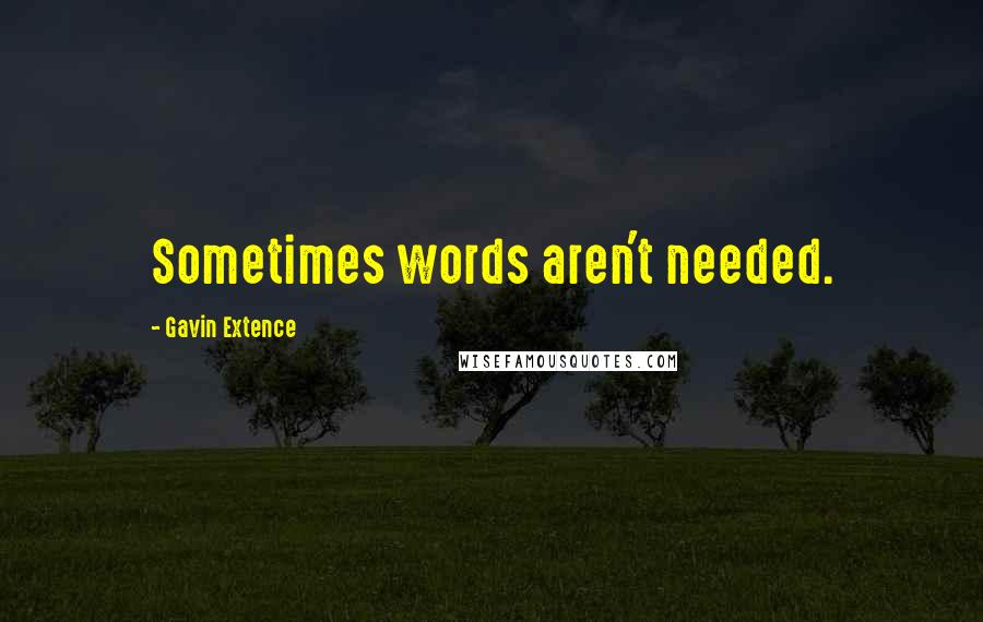 Gavin Extence Quotes: Sometimes words aren't needed.