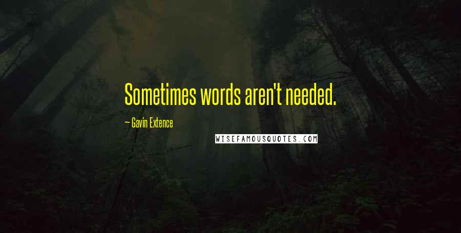 Gavin Extence Quotes: Sometimes words aren't needed.