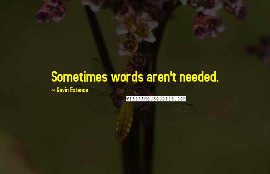 Gavin Extence Quotes: Sometimes words aren't needed.