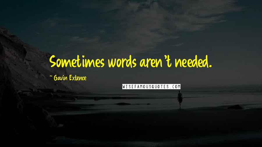 Gavin Extence Quotes: Sometimes words aren't needed.