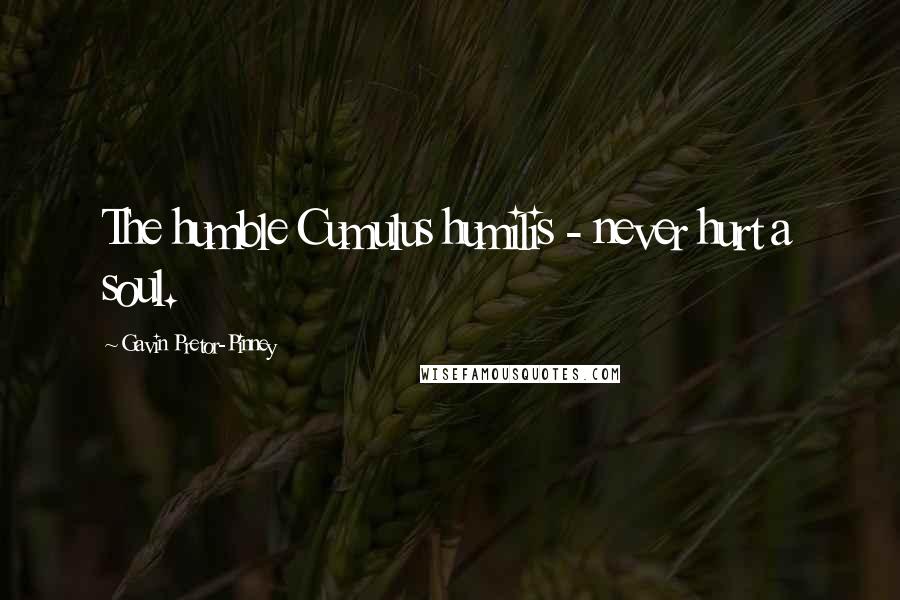 Gavin Pretor-Pinney Quotes: The humble Cumulus humilis - never hurt a soul.