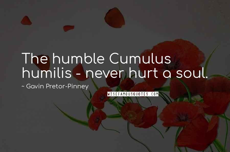 Gavin Pretor-Pinney Quotes: The humble Cumulus humilis - never hurt a soul.