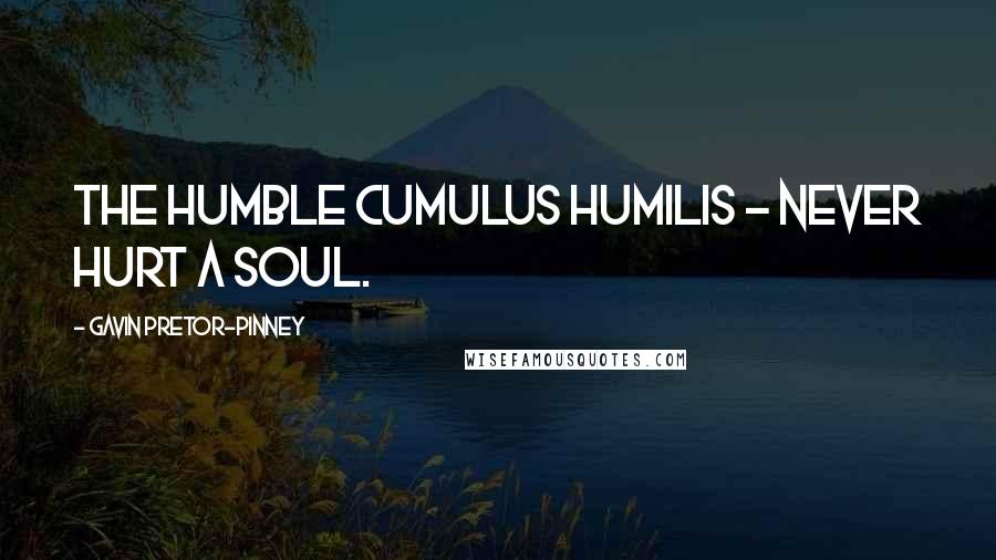 Gavin Pretor-Pinney Quotes: The humble Cumulus humilis - never hurt a soul.