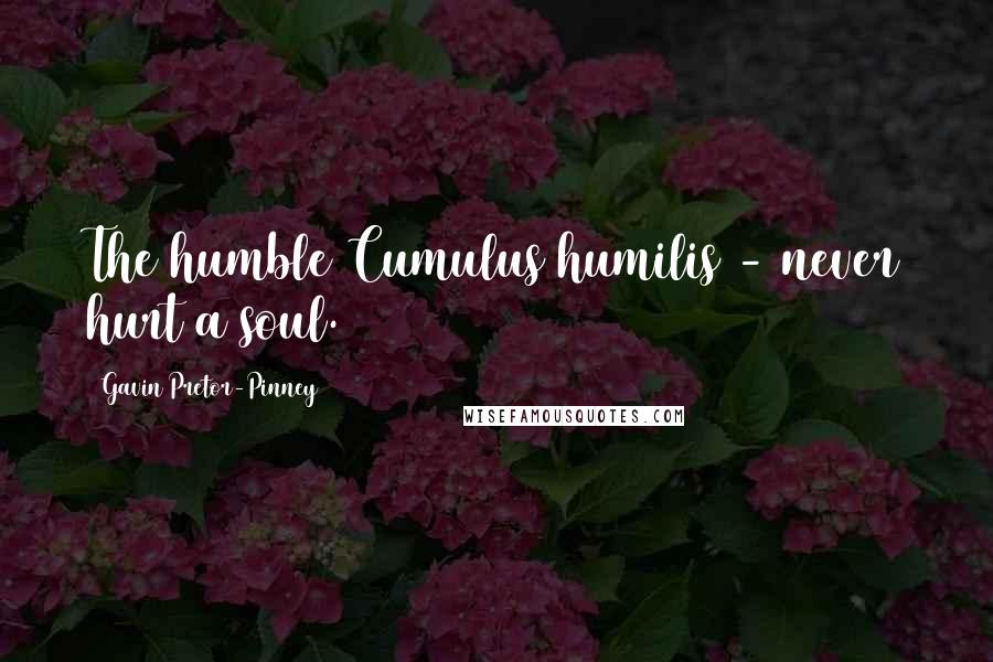 Gavin Pretor-Pinney Quotes: The humble Cumulus humilis - never hurt a soul.