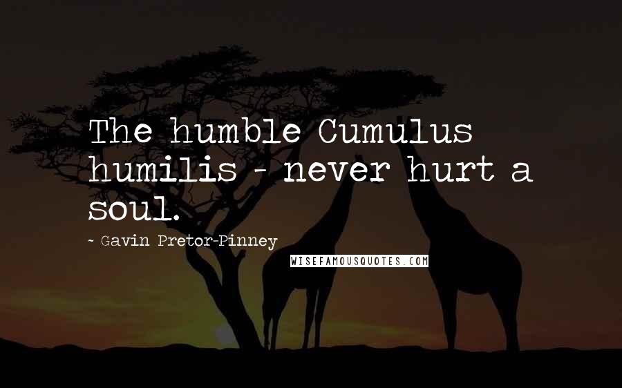 Gavin Pretor-Pinney Quotes: The humble Cumulus humilis - never hurt a soul.