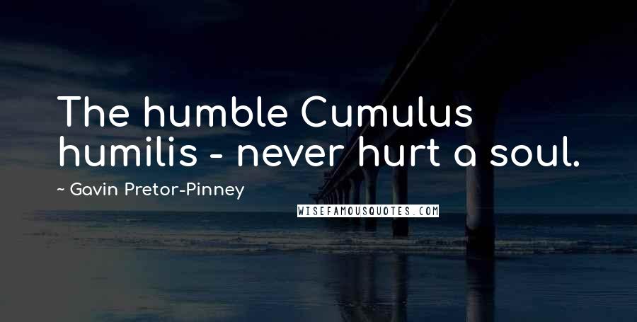 Gavin Pretor-Pinney Quotes: The humble Cumulus humilis - never hurt a soul.