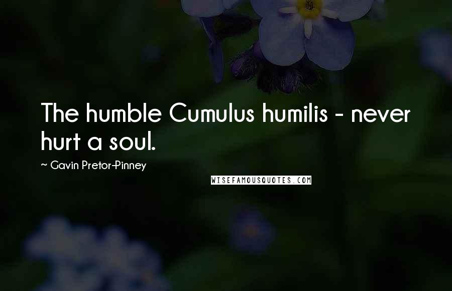Gavin Pretor-Pinney Quotes: The humble Cumulus humilis - never hurt a soul.