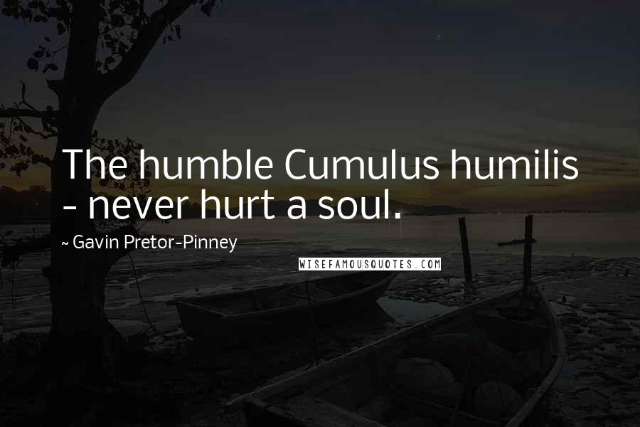 Gavin Pretor-Pinney Quotes: The humble Cumulus humilis - never hurt a soul.