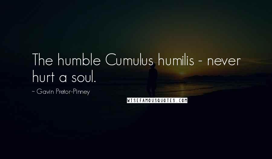 Gavin Pretor-Pinney Quotes: The humble Cumulus humilis - never hurt a soul.