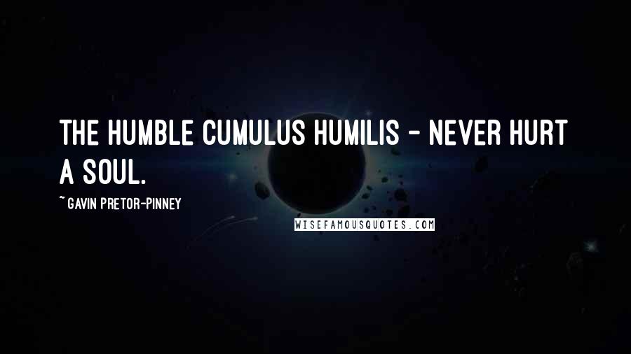 Gavin Pretor-Pinney Quotes: The humble Cumulus humilis - never hurt a soul.