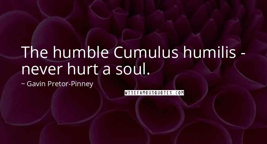 Gavin Pretor-Pinney Quotes: The humble Cumulus humilis - never hurt a soul.