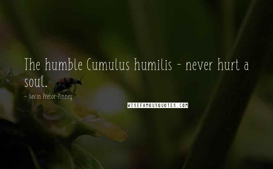 Gavin Pretor-Pinney Quotes: The humble Cumulus humilis - never hurt a soul.