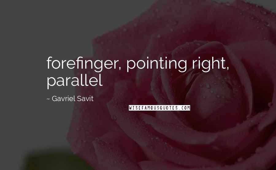 Gavriel Savit Quotes: forefinger, pointing right, parallel