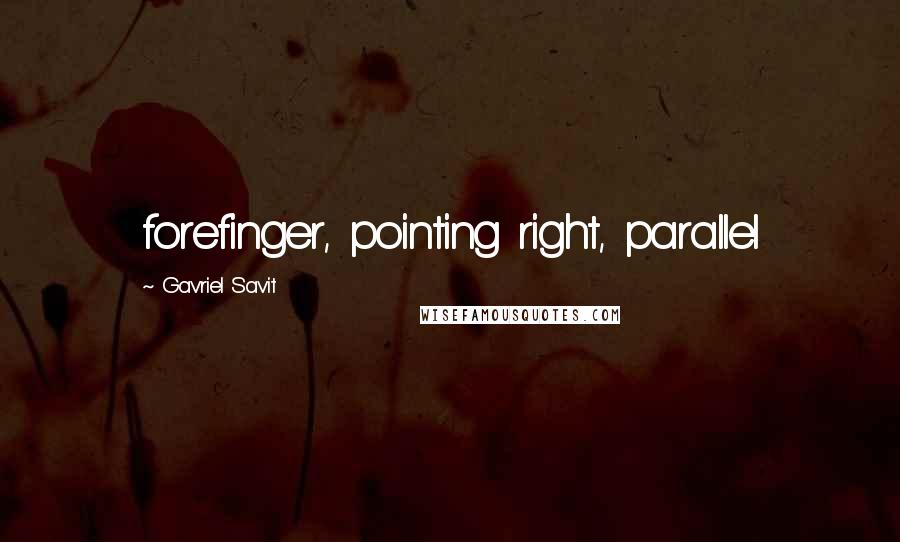 Gavriel Savit Quotes: forefinger, pointing right, parallel