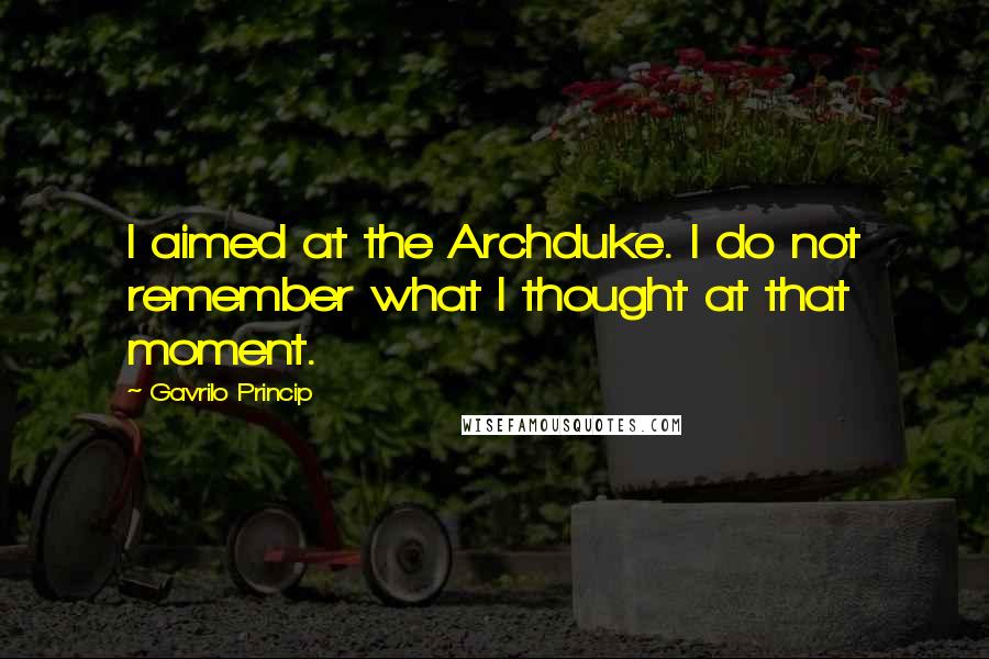 Gavrilo Princip Quotes: I aimed at the Archduke. I do not remember what I thought at that moment.