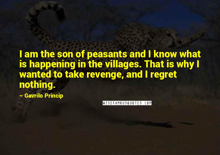 Gavrilo Princip Quotes: I am the son of peasants and I know what is happening in the villages. That is why I wanted to take revenge, and I regret nothing.