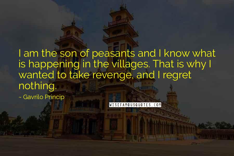 Gavrilo Princip Quotes: I am the son of peasants and I know what is happening in the villages. That is why I wanted to take revenge, and I regret nothing.