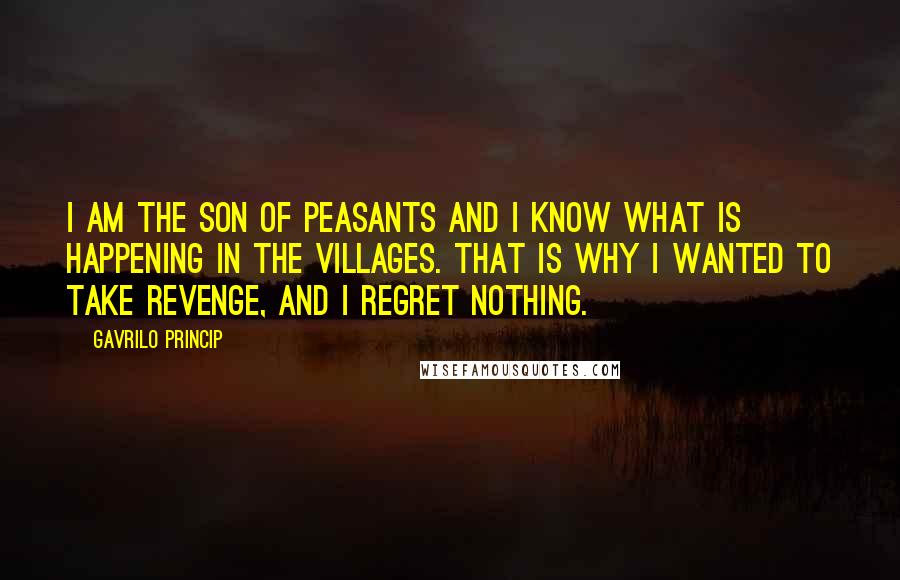 Gavrilo Princip Quotes: I am the son of peasants and I know what is happening in the villages. That is why I wanted to take revenge, and I regret nothing.