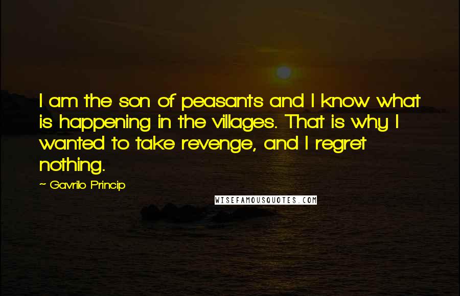 Gavrilo Princip Quotes: I am the son of peasants and I know what is happening in the villages. That is why I wanted to take revenge, and I regret nothing.