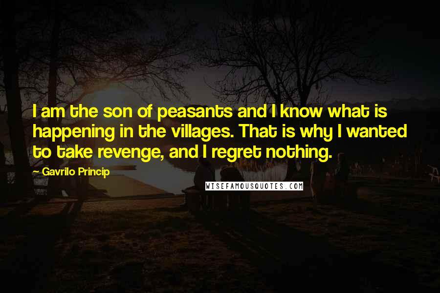 Gavrilo Princip Quotes: I am the son of peasants and I know what is happening in the villages. That is why I wanted to take revenge, and I regret nothing.
