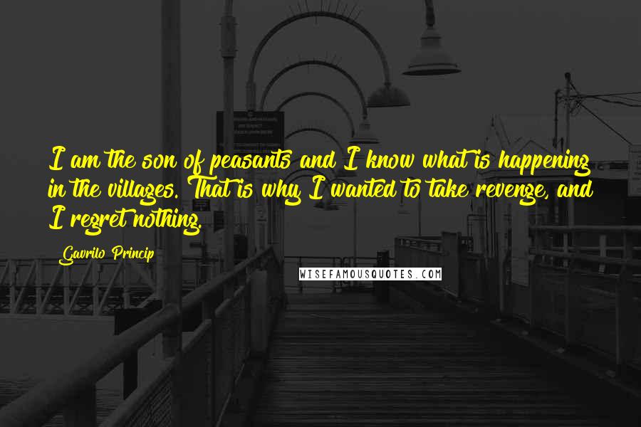 Gavrilo Princip Quotes: I am the son of peasants and I know what is happening in the villages. That is why I wanted to take revenge, and I regret nothing.