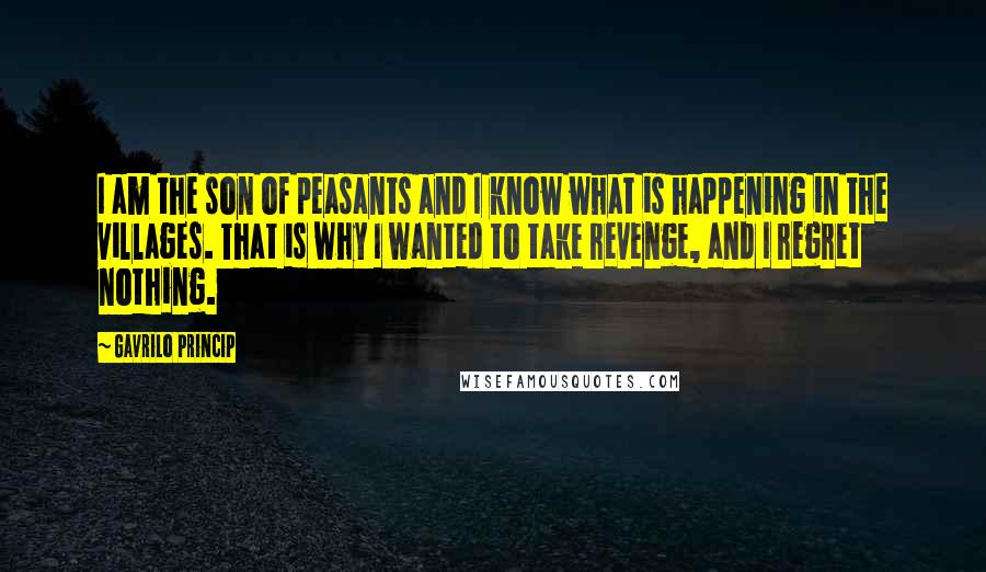 Gavrilo Princip Quotes: I am the son of peasants and I know what is happening in the villages. That is why I wanted to take revenge, and I regret nothing.