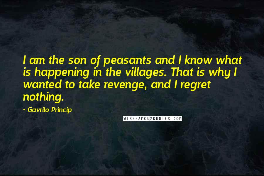 Gavrilo Princip Quotes: I am the son of peasants and I know what is happening in the villages. That is why I wanted to take revenge, and I regret nothing.