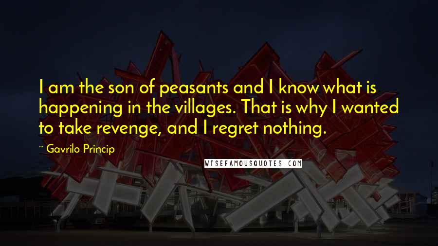 Gavrilo Princip Quotes: I am the son of peasants and I know what is happening in the villages. That is why I wanted to take revenge, and I regret nothing.