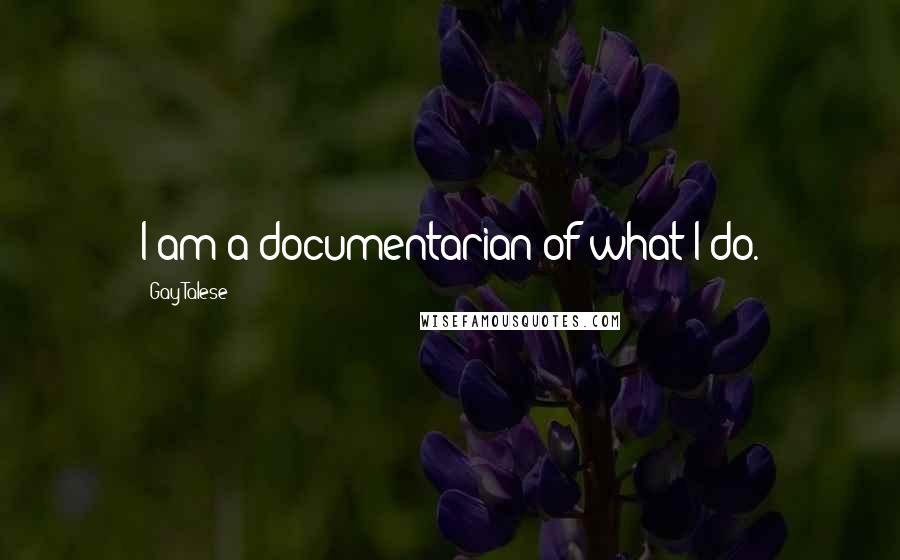 Gay Talese Quotes: I am a documentarian of what I do.