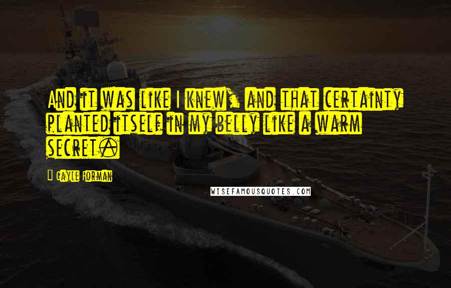 Gayle Forman Quotes: And it was like I knew, and that certainty planted itself in my belly like a warm secret.