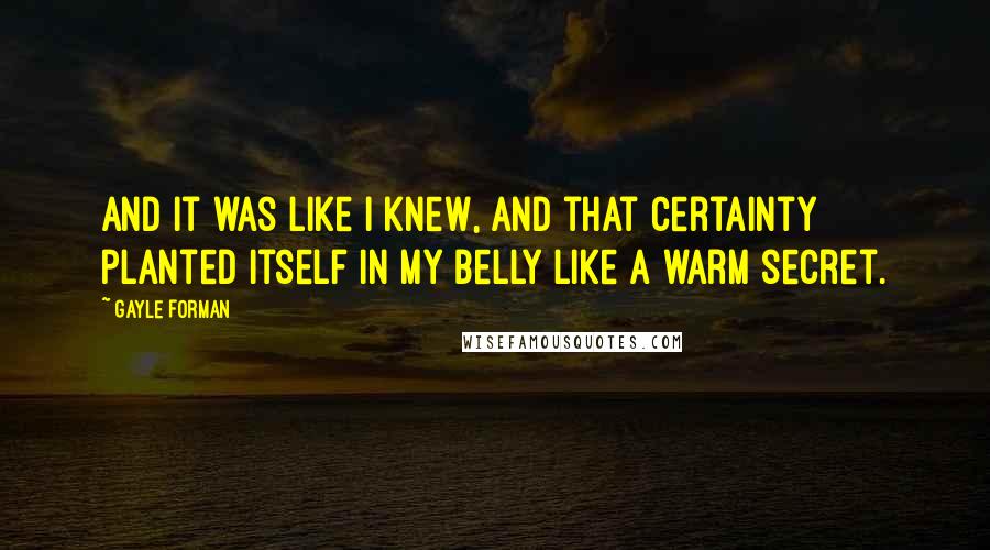 Gayle Forman Quotes: And it was like I knew, and that certainty planted itself in my belly like a warm secret.