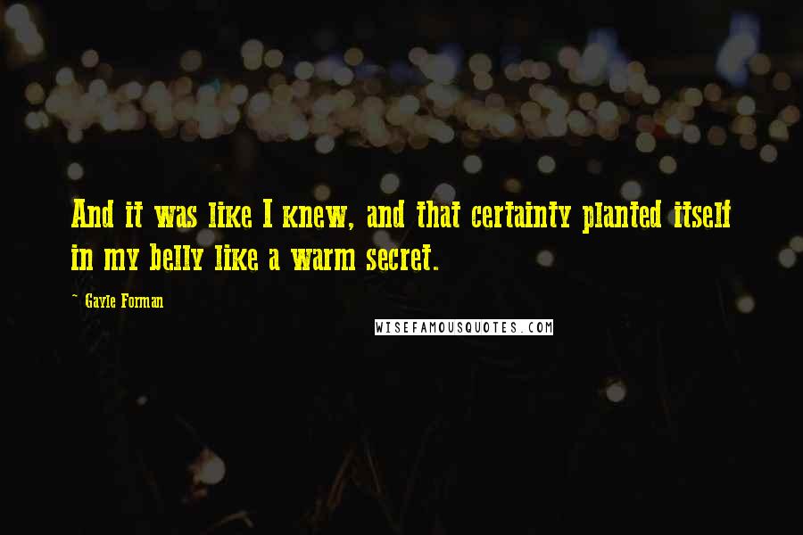 Gayle Forman Quotes: And it was like I knew, and that certainty planted itself in my belly like a warm secret.