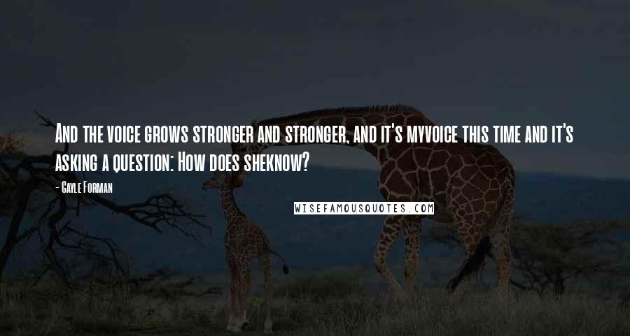 Gayle Forman Quotes: And the voice grows stronger and stronger, and it's myvoice this time and it's asking a question: How does sheknow?